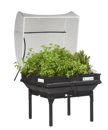 Vegepod Kombi Paket  | Mittelgroßer Containergarten Gemüsebeet Schwarz mit Abdeckung & Standgestell 1m x 1m