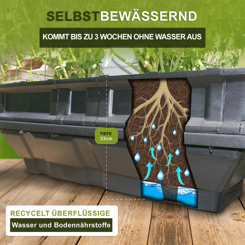 Vegepod Hochbeet  | Kleiner Containergarten Gemüsebeet Schwarz mit Abdeckung 1m x 0,5m