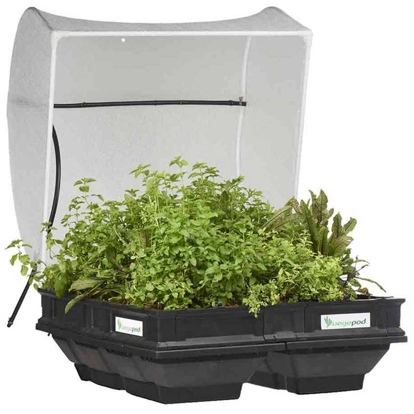Vegepod Kombi Paket  | Mittelgroßer Containergarten Gemüsebeet Schwarz mit Abdeckung & Standgestell 1m x 1m